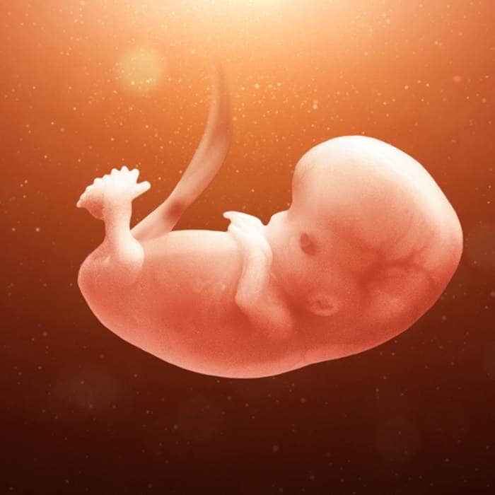 أسباب صغر حجم الجنين في الشهر التاسع