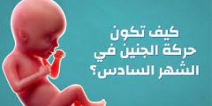حركة الجنين في الشهر السادس