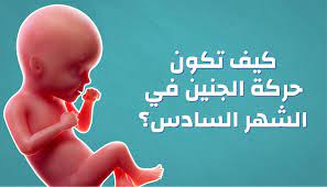 حركة الجنين في الشهر السادس