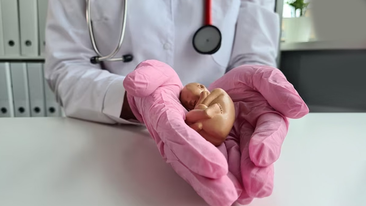 تشخيص التشوهات الخلقية عند الجنين خلال الحمل