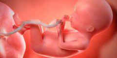 متى يبدأ الجنين بسماع صوت أمه؟ وكيف تتطور حواسه داخل الرحم؟